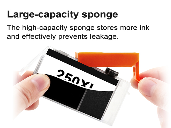 250XL INK CARTRIDGE