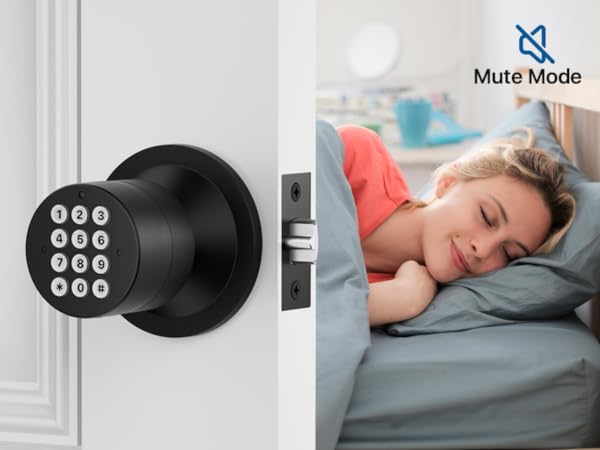 Door Knob with Keypad
