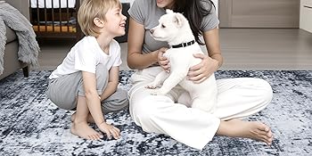 living room rug
