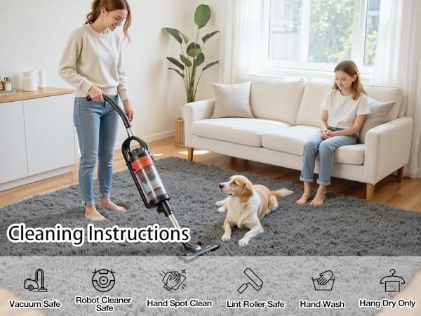 Area Rugs for Living Room