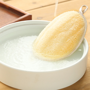 loofah sponge pad