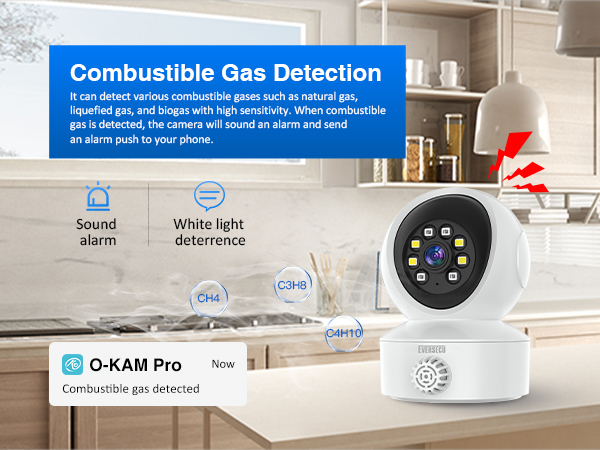 EVERSECU Smoke &amp; Gas Detection Home Security Camera with Sound Alarm 
