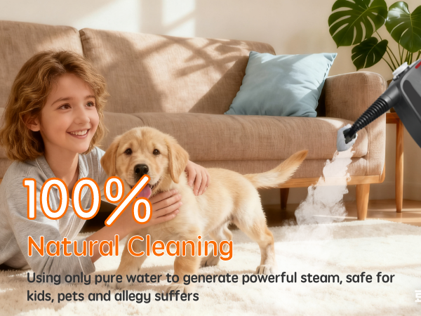 cleaning steamer handheld for house