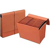 Heavy Duty Expanding File Folder Organizer,21 Pockets Accordion File Organizer,A-Z,1/3 Cut Tabs,L...