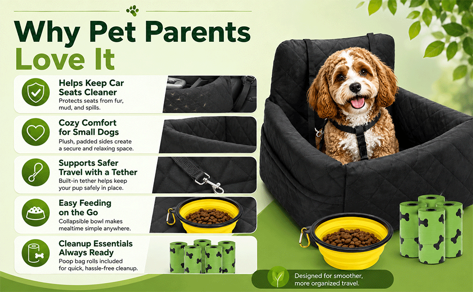 Dog seat 
