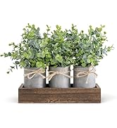 Dahey Centerpiece Table Decorations Coffee Table Decor Wood Tray 3 Galvanized Pots with Artificia...