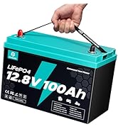 ECOBOSS 12V 100Ah LiFePO4 Battery Group 31, 1280Wh Deep Cycle Lithium Battery, 120A BMS, 15000+ C...