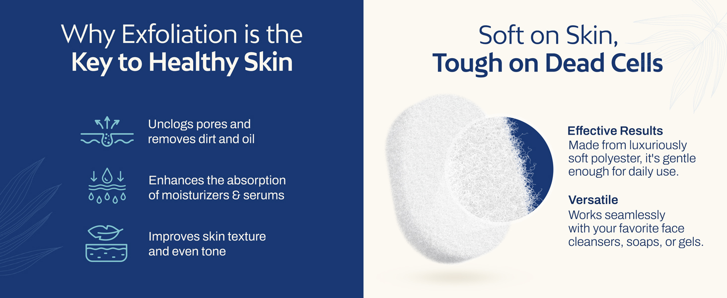 Body_Sponge_Desktop_Banner04