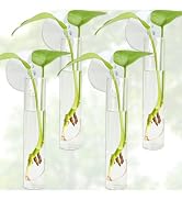 FOWSRHRG 4PCS Propagation Stations, Plant Tube with Suction Cup Hook, Test Tube Propagation Stati...