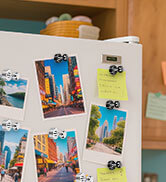 Fridge Magnets