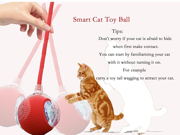 cat toy ball