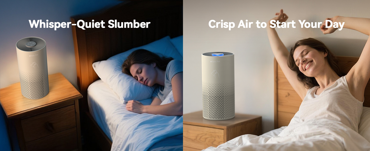 air purifier for home pets