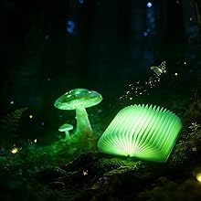 Enchanted Green – Forest Healing