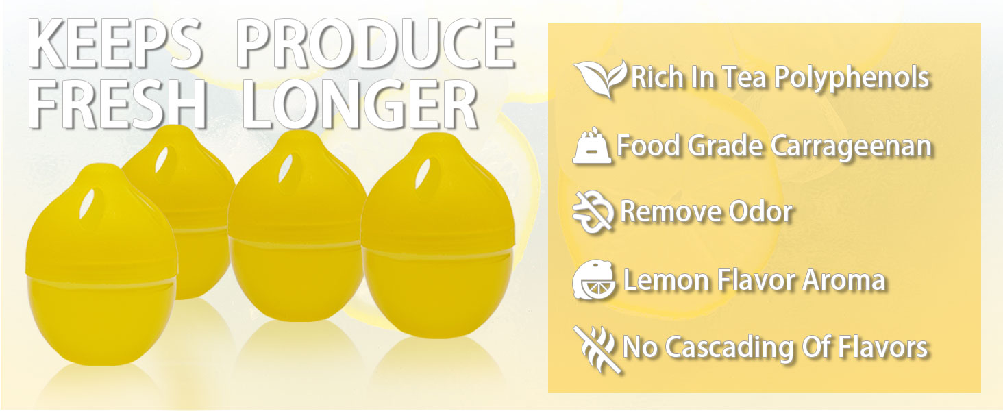 fridge deodorizer
