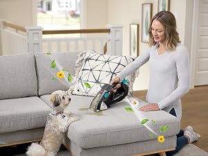 febreze plus gain