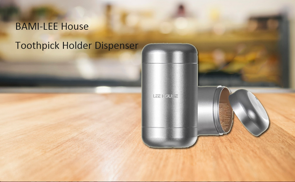 Toothpick Storage Container