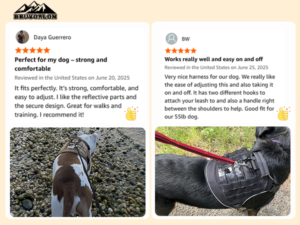 Paw-fect Comfort: 5-Star Approval | No-Pull Dog Harness Trusted by 20000+ Pet Parents.