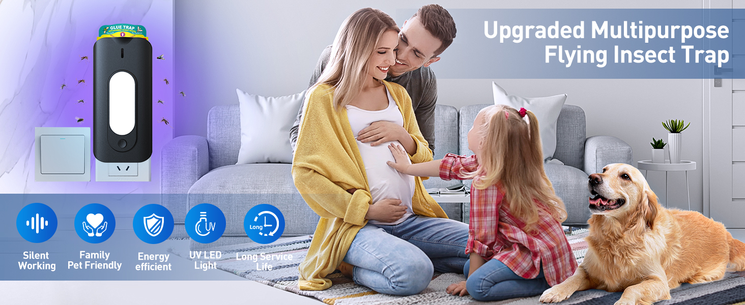 fruit fly traps for indoors