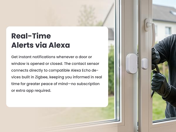 Real-Time Alerts