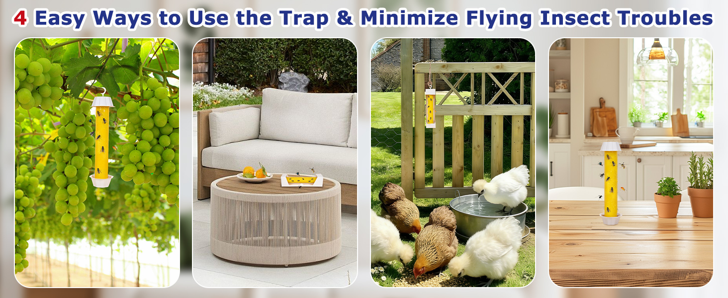 fly traps outdoor