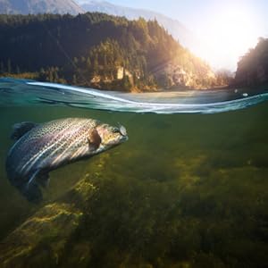 A fish in the freshwater