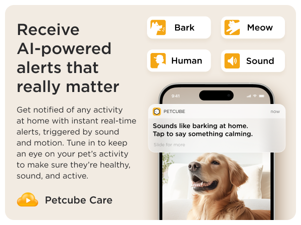 Petcube Camera