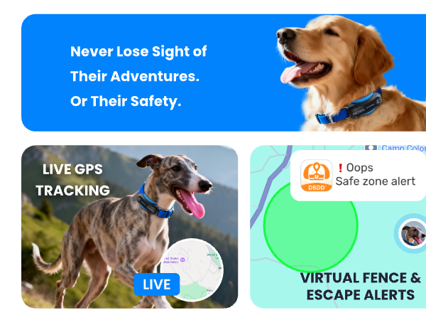 LIVE GPS TRACKING. VIRTUAL FENCE &amp; ESCAPE ALERTS