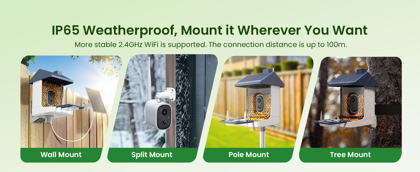 bird house with camera