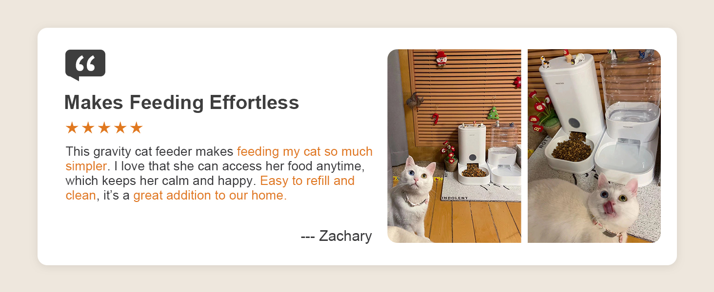 automatic cat feeder