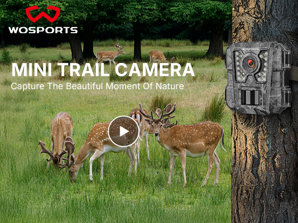 game camera trail cam motion activated trail camera