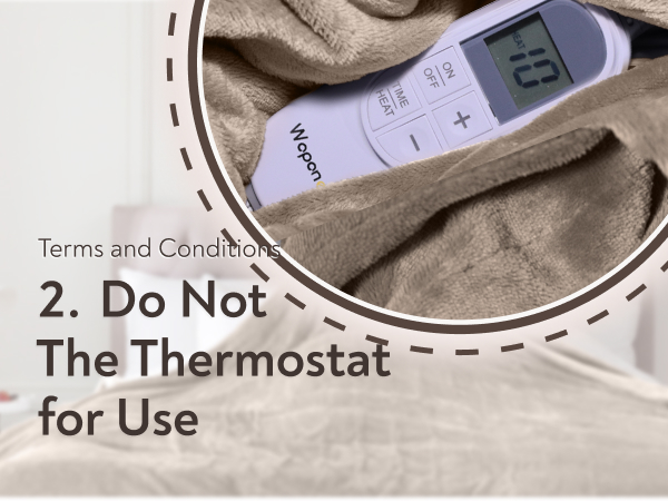 Electric Blanket Mushroom