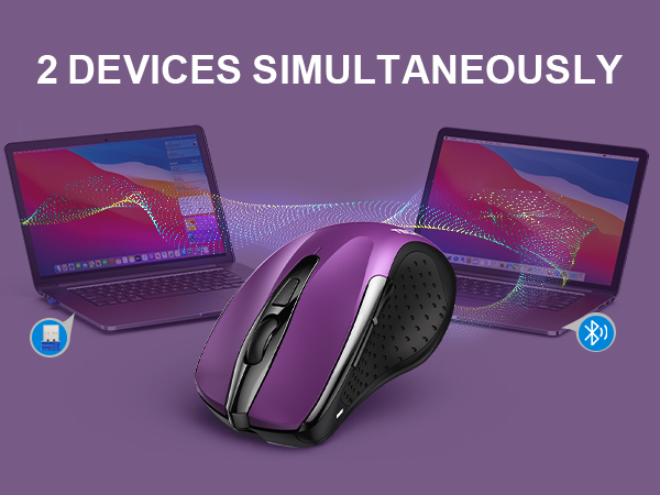 mouse