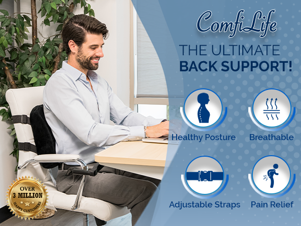 lumbar support back pillow