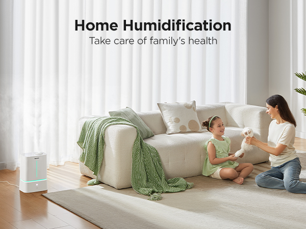 humidifier for home