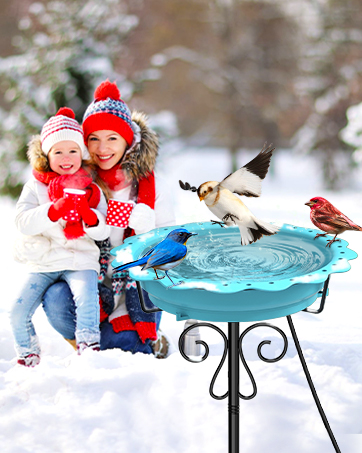Jvgoo Heated Bird Bath for Outside Winter