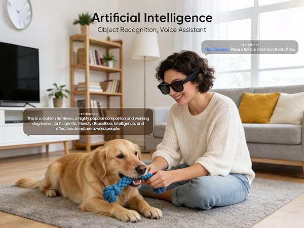 ai glasses
