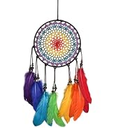 WisePoint Dream Catcher Wall Decor, Dream Catcher Kit with Feathers and Beads Pendant, Dream Catc...