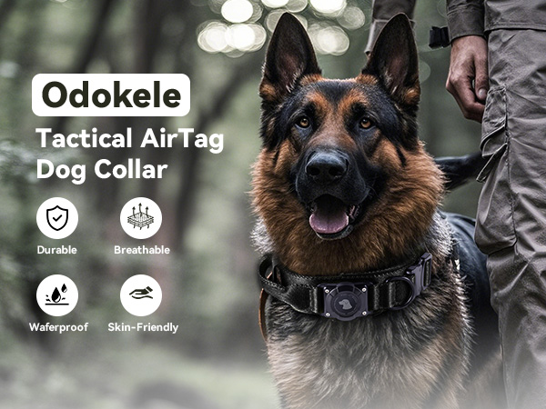airtag dog collar