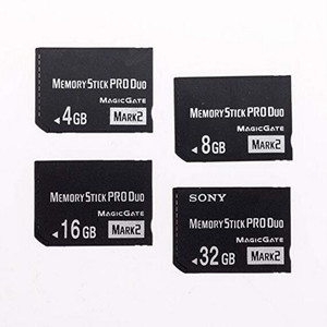 Memory Stick PRO-HG Duo Card 