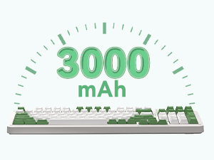 3000mAh Capacity Battery