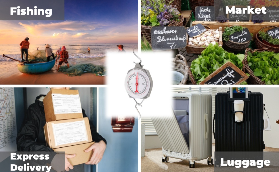 Precision Hanging Scale