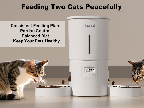 Text reads 'Feeding Two Cats Peacefully', 'Keep Your Pets Healthy', 'Consistent Feeding Plan Portion Control'. White automatic pet feeder shown with cats approaching device.