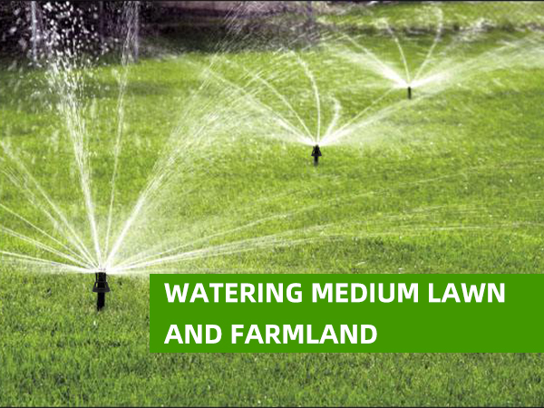 spray head systems watering in the medium lawn