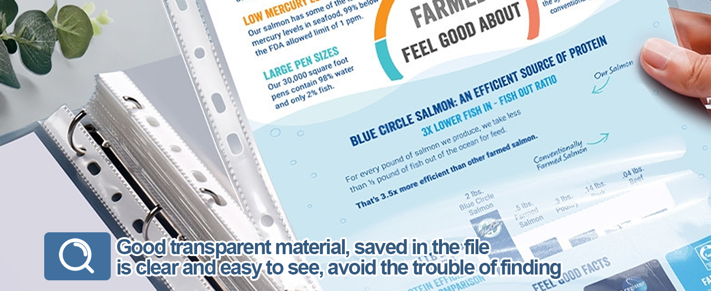 sheet protector