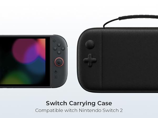 switch carrying case