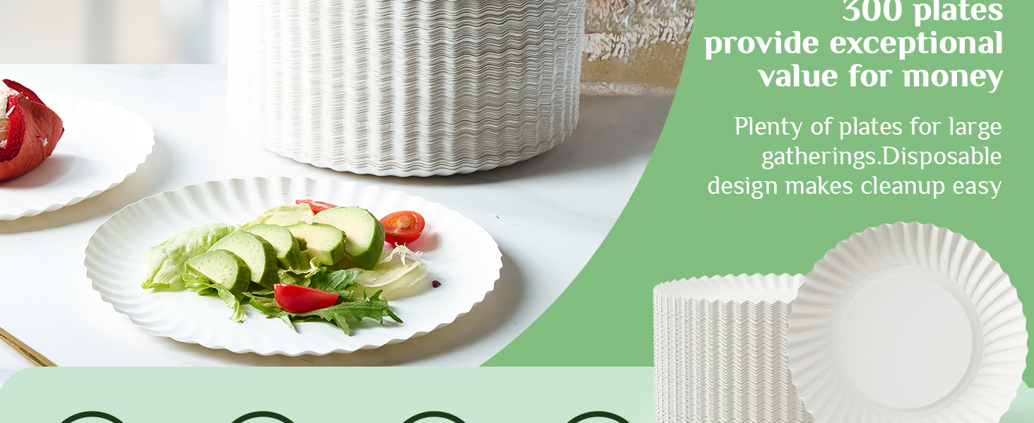 lunch paper plates