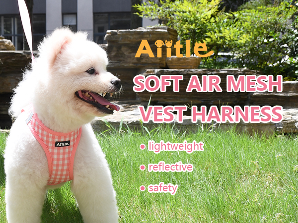 AIITLE Step-in Dog Vest Harness and Leash Set - Summer Mesh Plaid Vest Harness