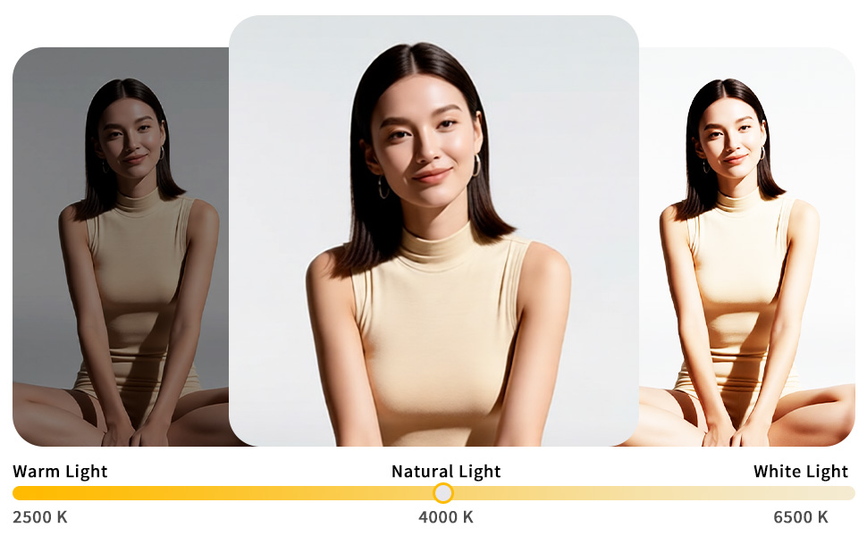 magnetic selfie light