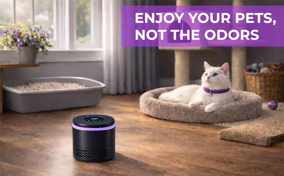 air purifier for home