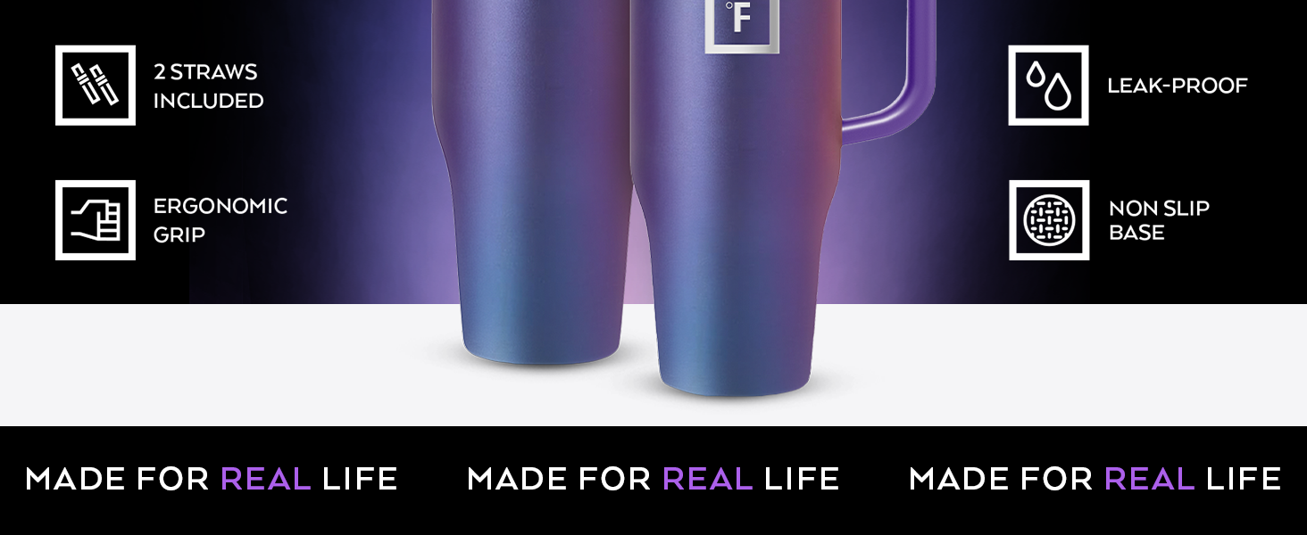 Co-Pilot Standard Color